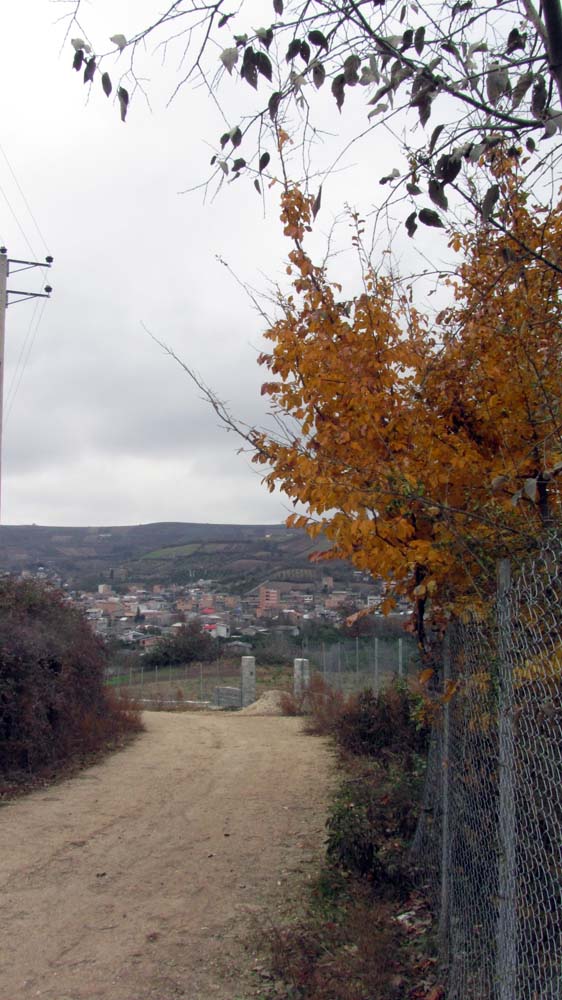 1_1_.jpg (562×1000)