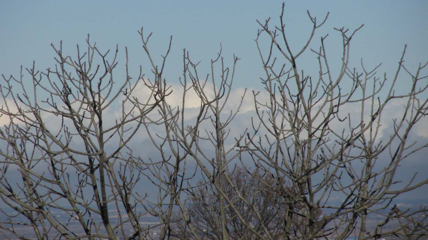 1_17_.jpg (1400×787)