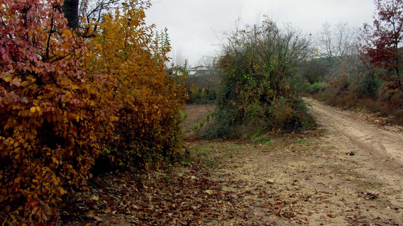 1_19_.jpg (1400×787)