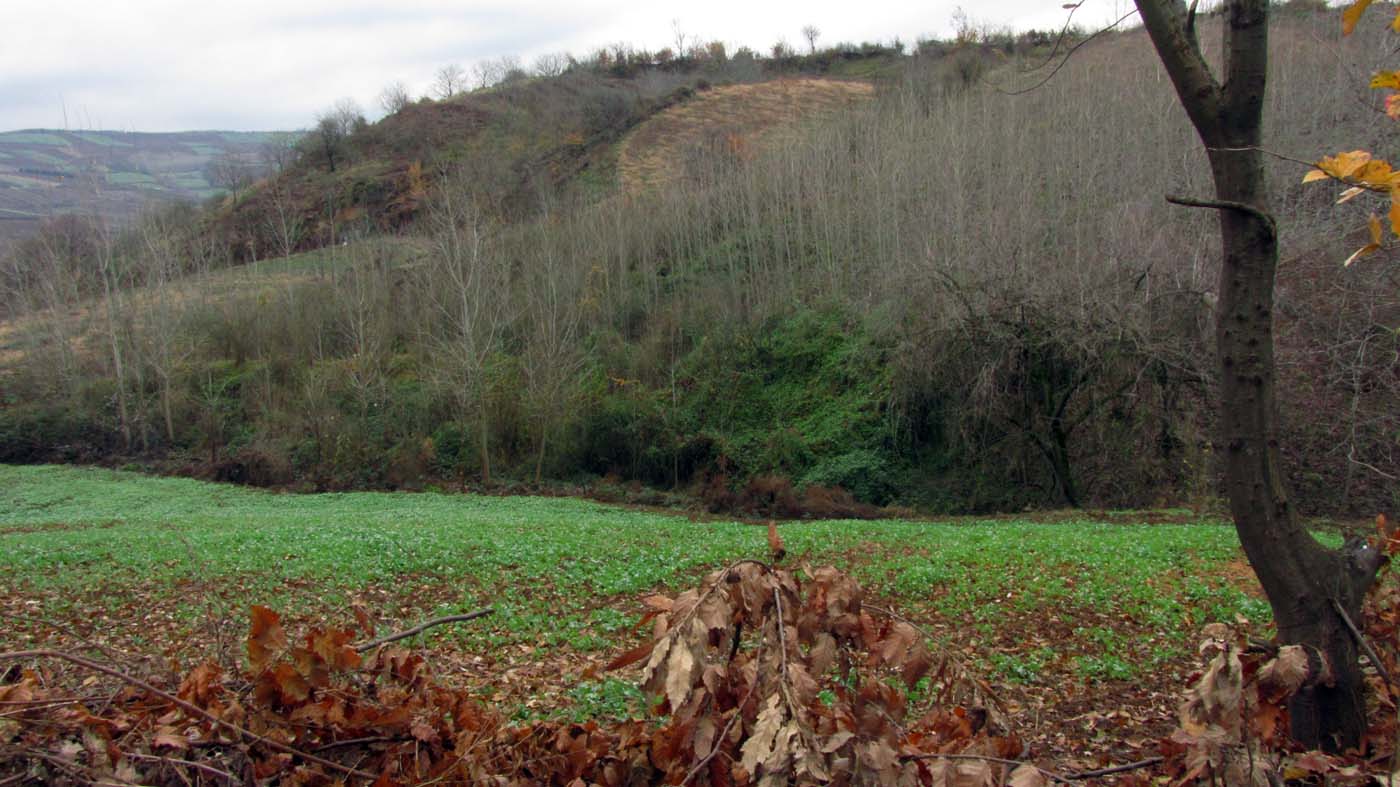 1_22_.jpg (1400×787)