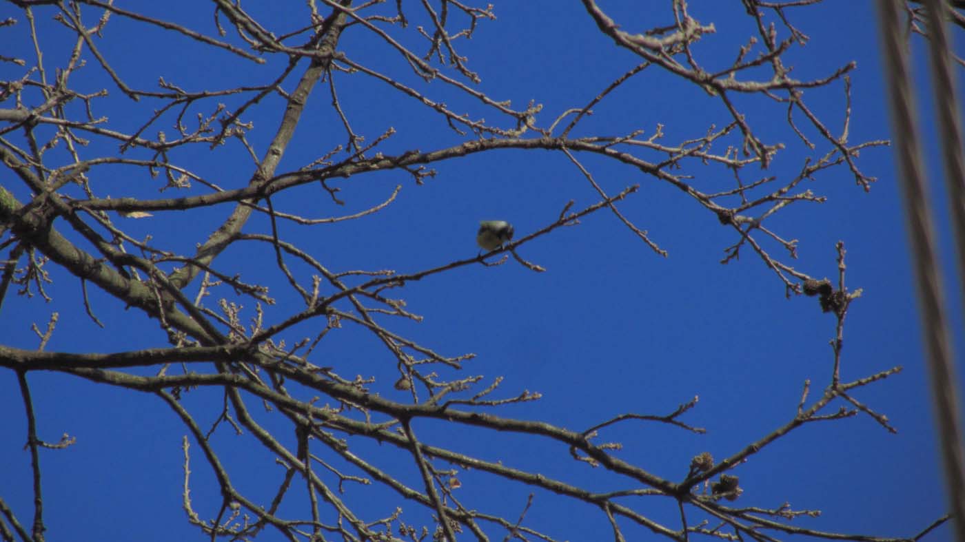 1_2_.jpg (1400×787)