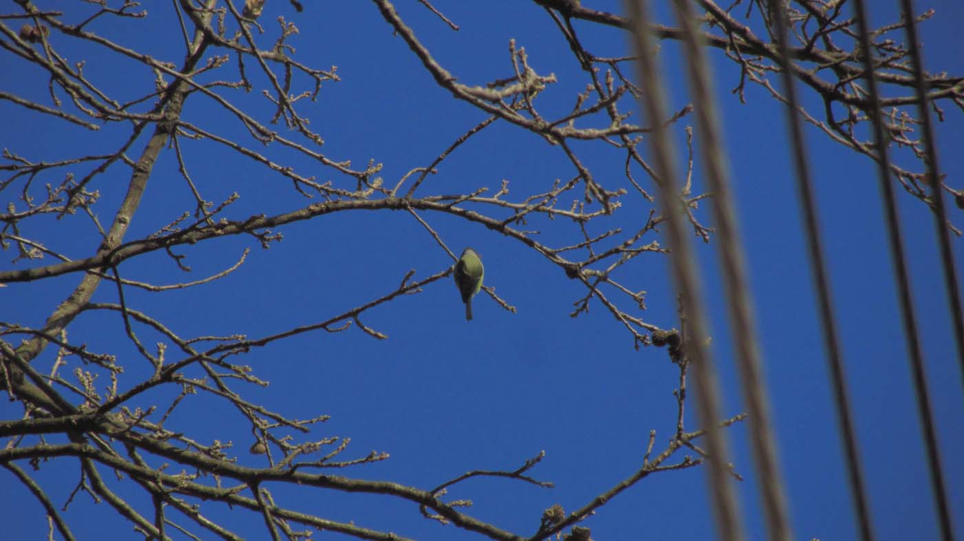 1_4_.jpg (1400×787)