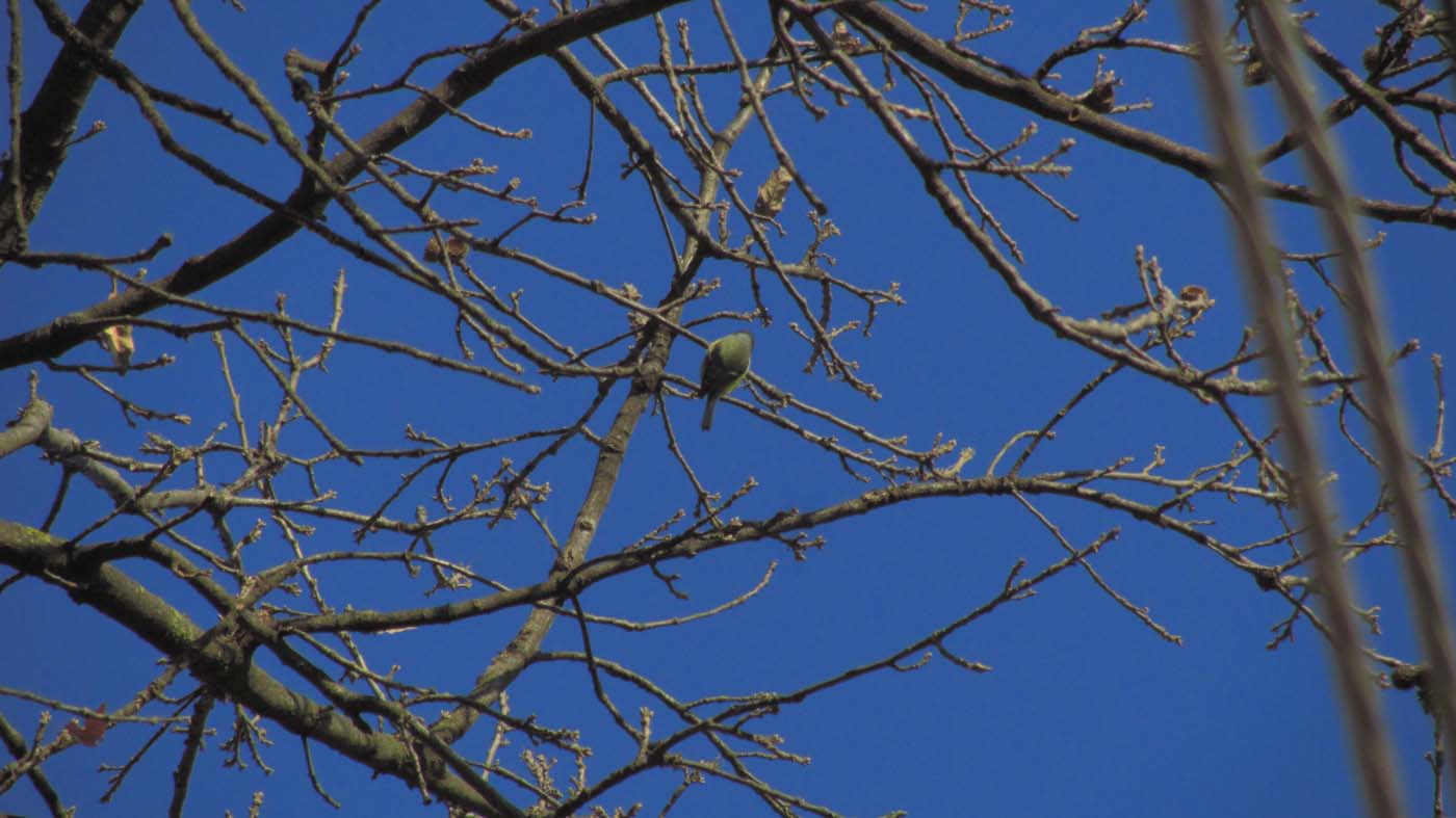 1_6_.jpg (1400×787)