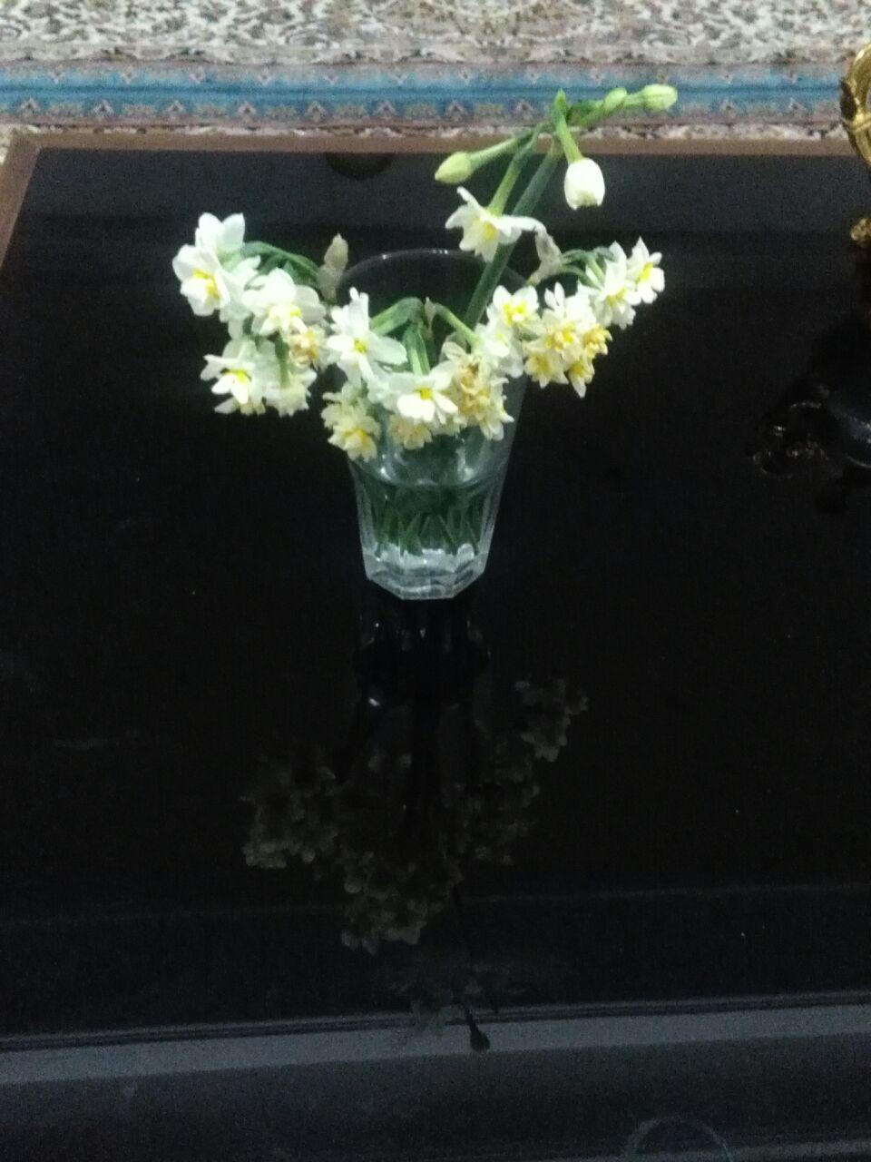 1_28_.jpg (960×1280)