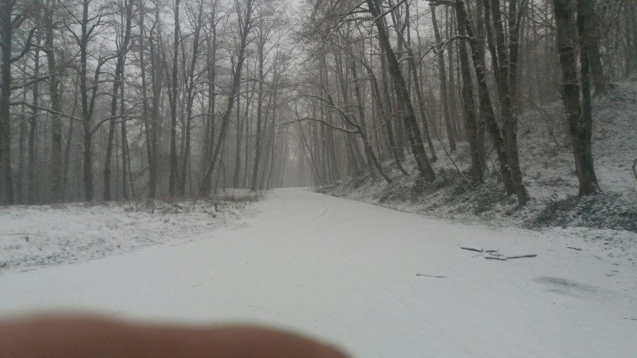 1_2_.jpg (1280×720)