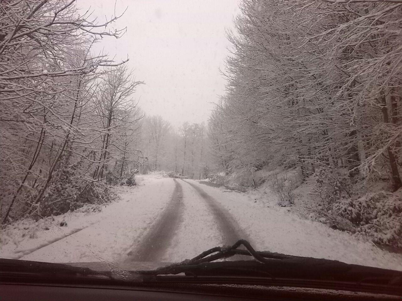 1_4_.jpg (1280×959)