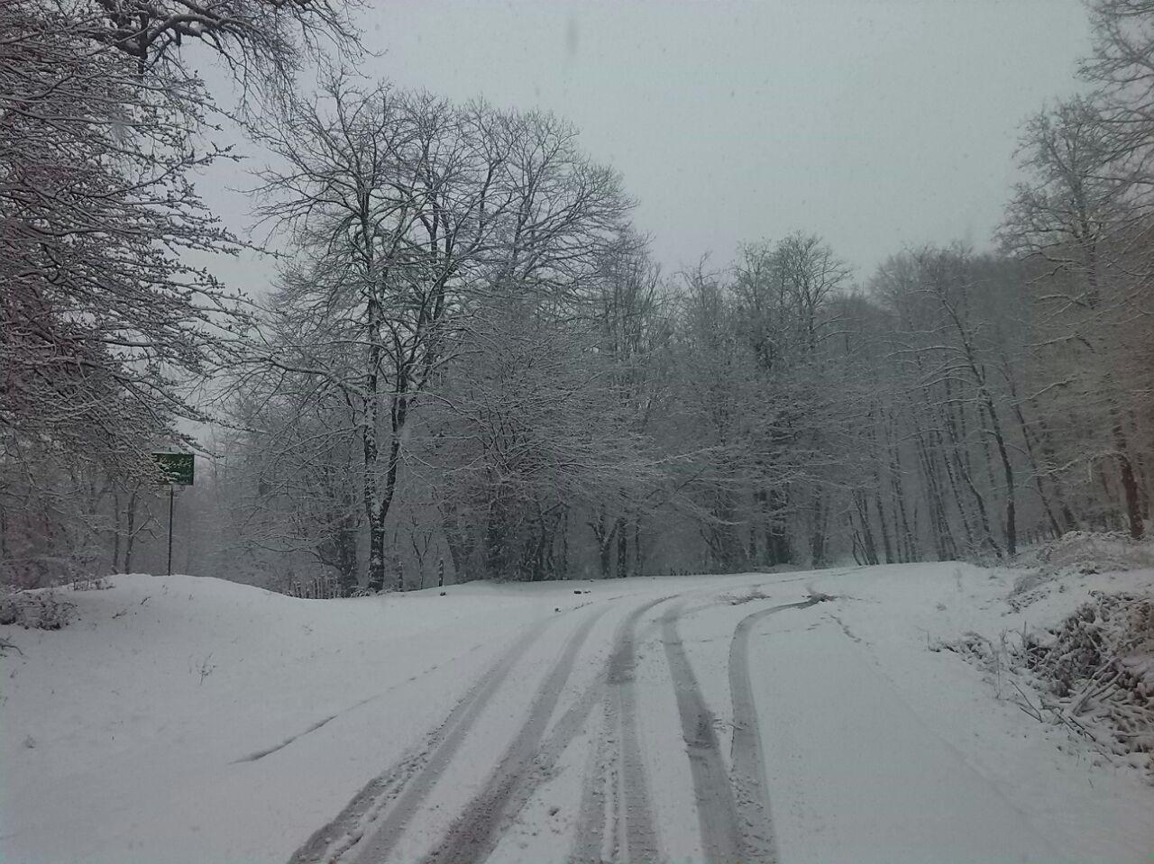 1_6_.jpg (1280×959)