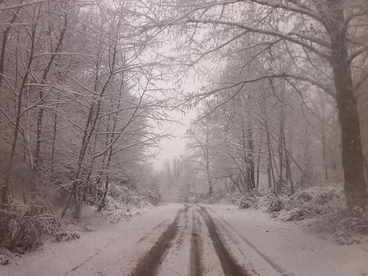 1_8_.jpg (1280×959)