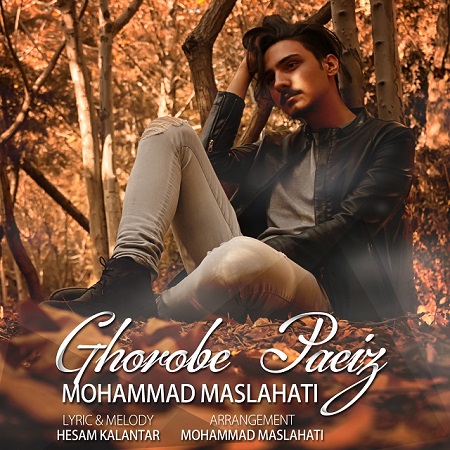 محمد مصلحتی اهنگ پاییز