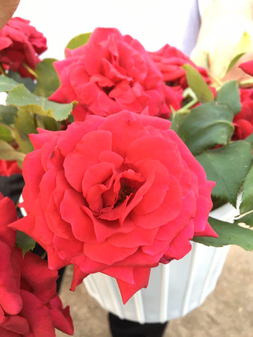 1_14_.jpg (960×1280)