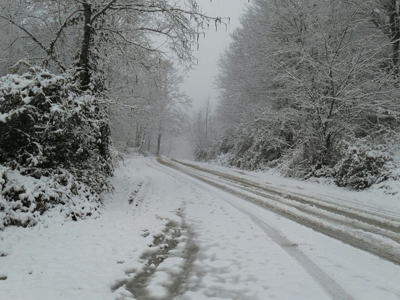 1_3_.jpg (1280×960)