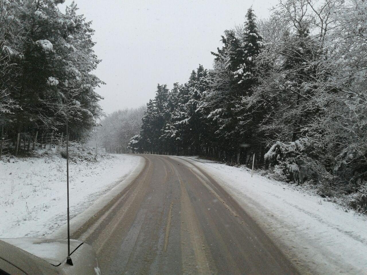 1_4_.jpg (1280×960)