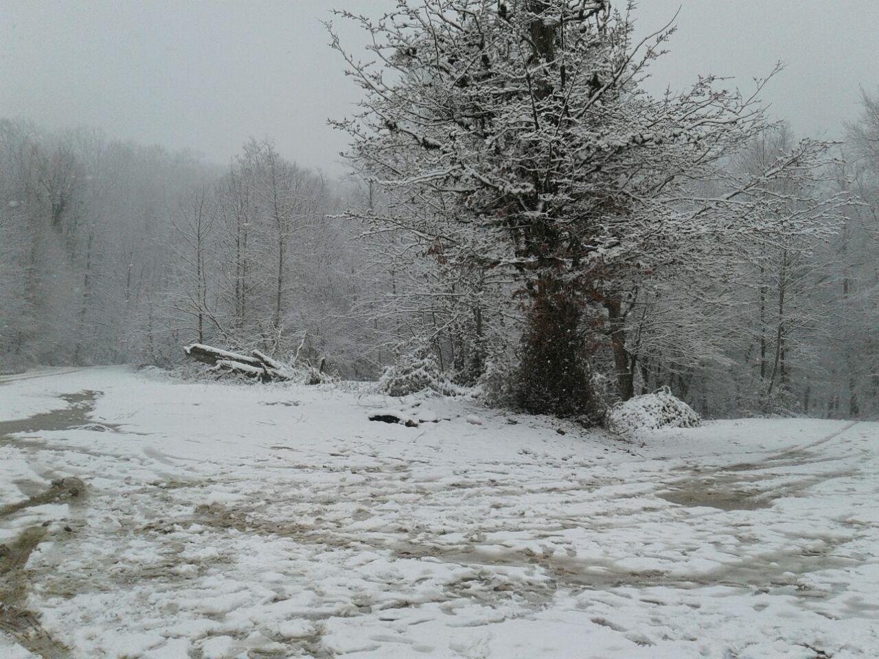 1_5_.jpg (1280×960)