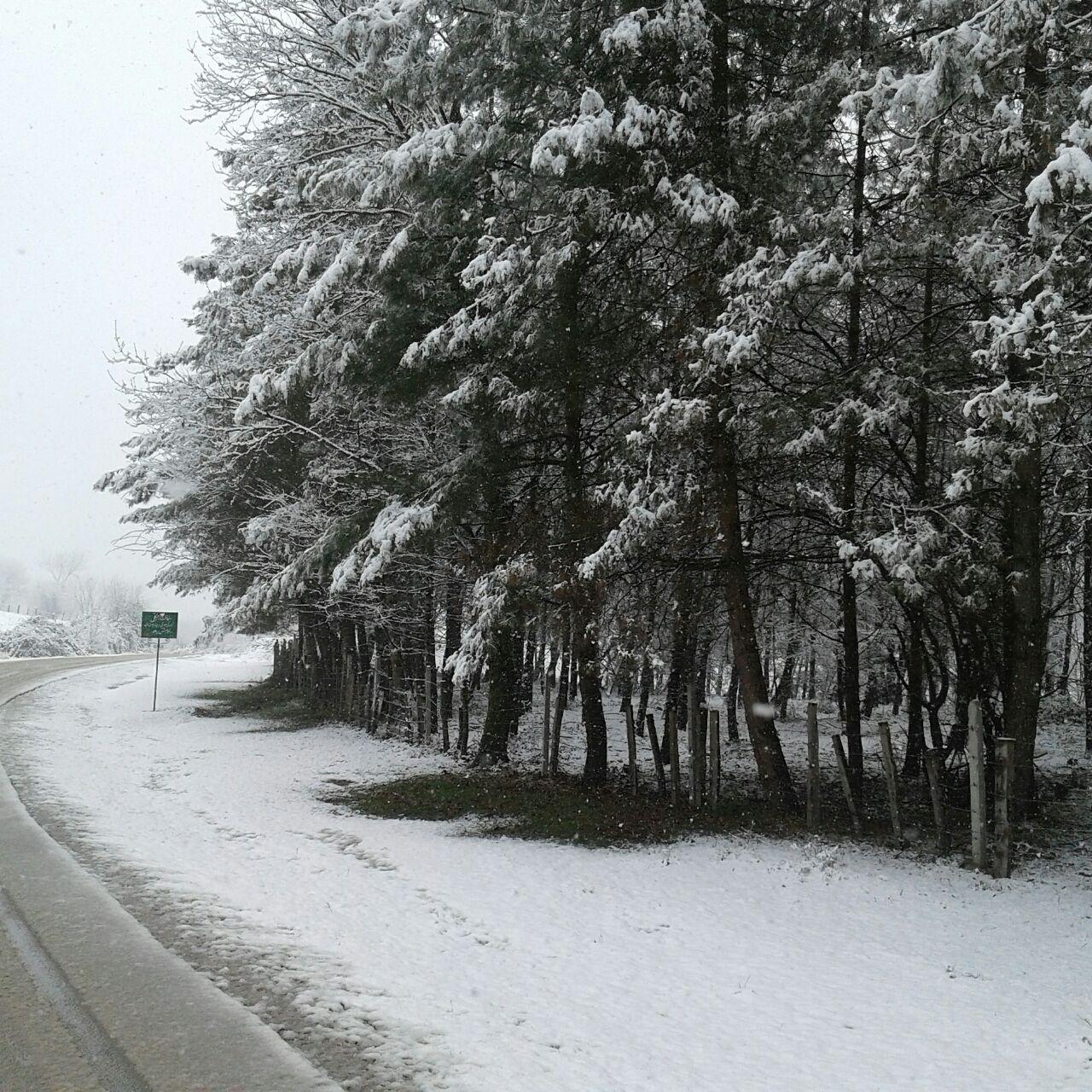 1_6_.jpg (1280×1280)