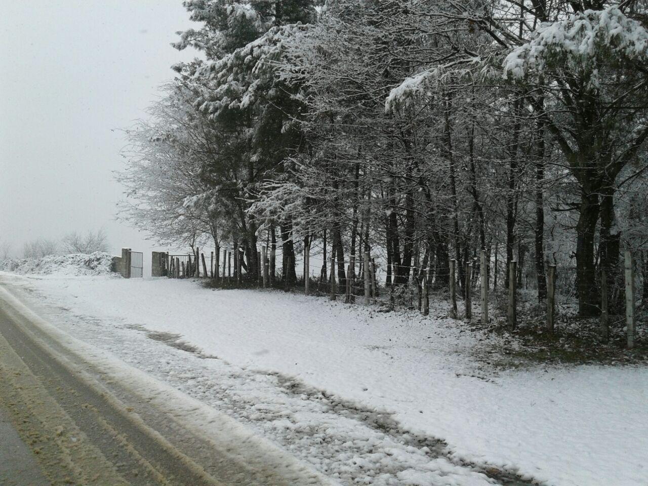 1_9_.jpg (1280×960)