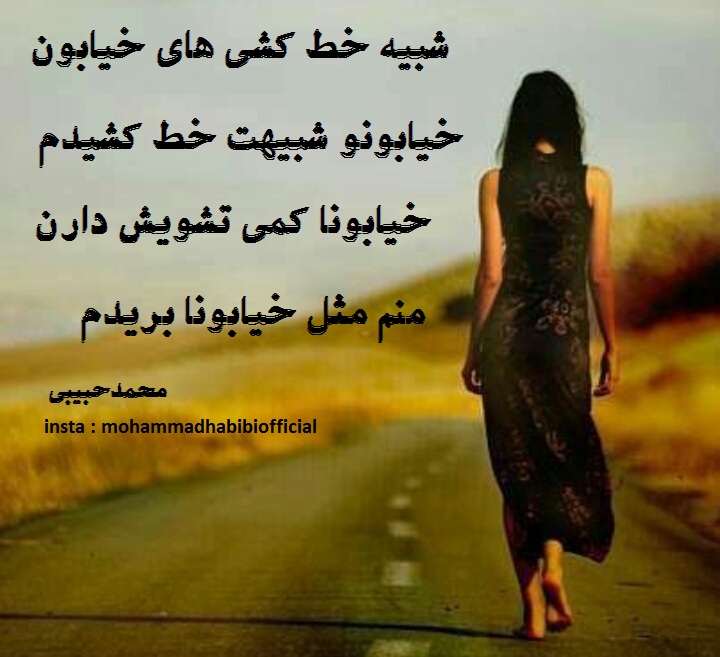 محمد حبیبی