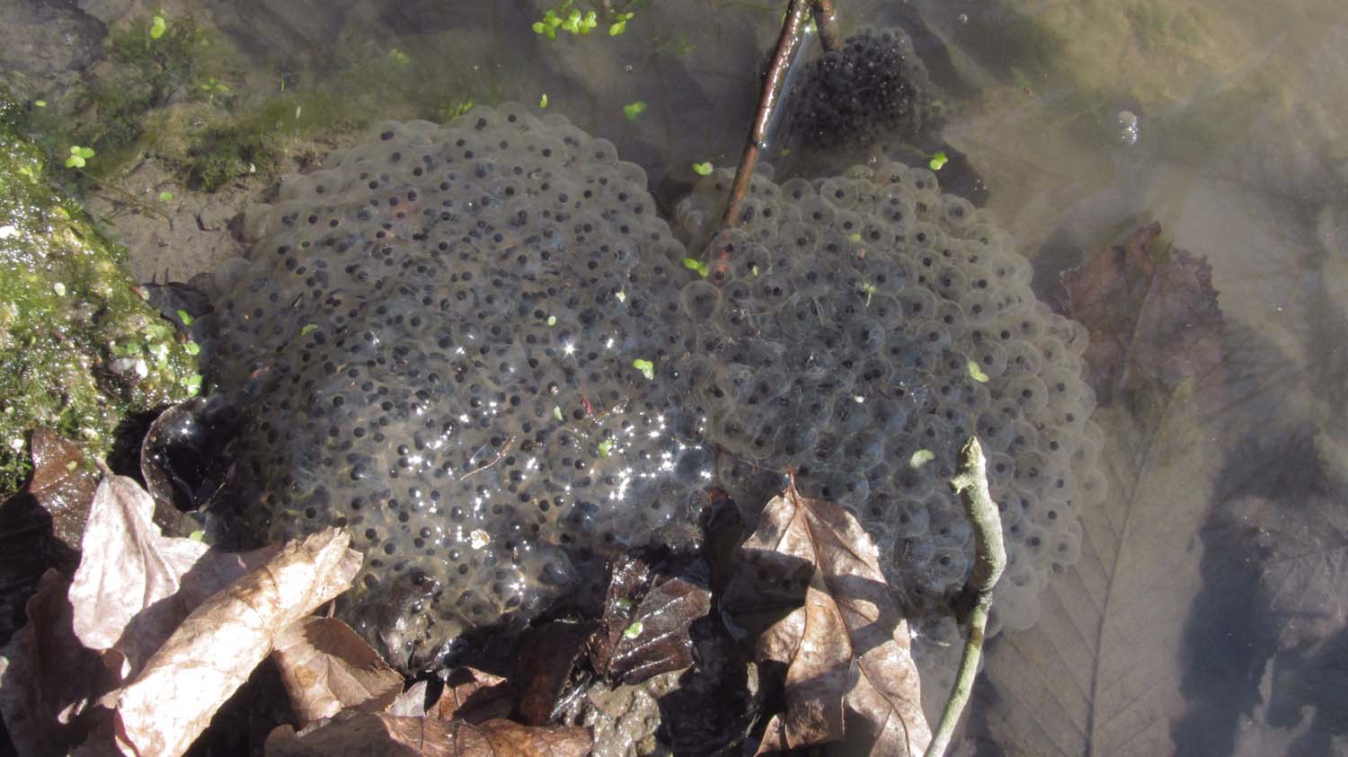 1_1_.JPG (1500×843)