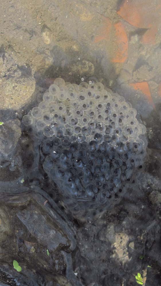 1_3_.JPG (562×1000)