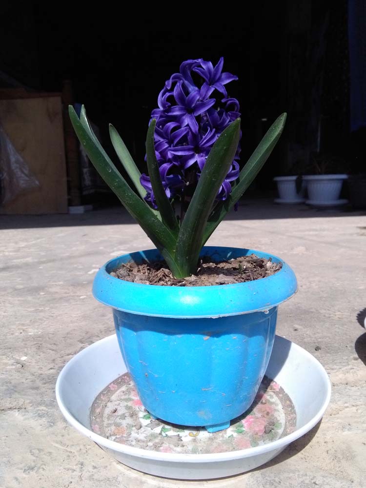 1_3_.jpg (750×1000)