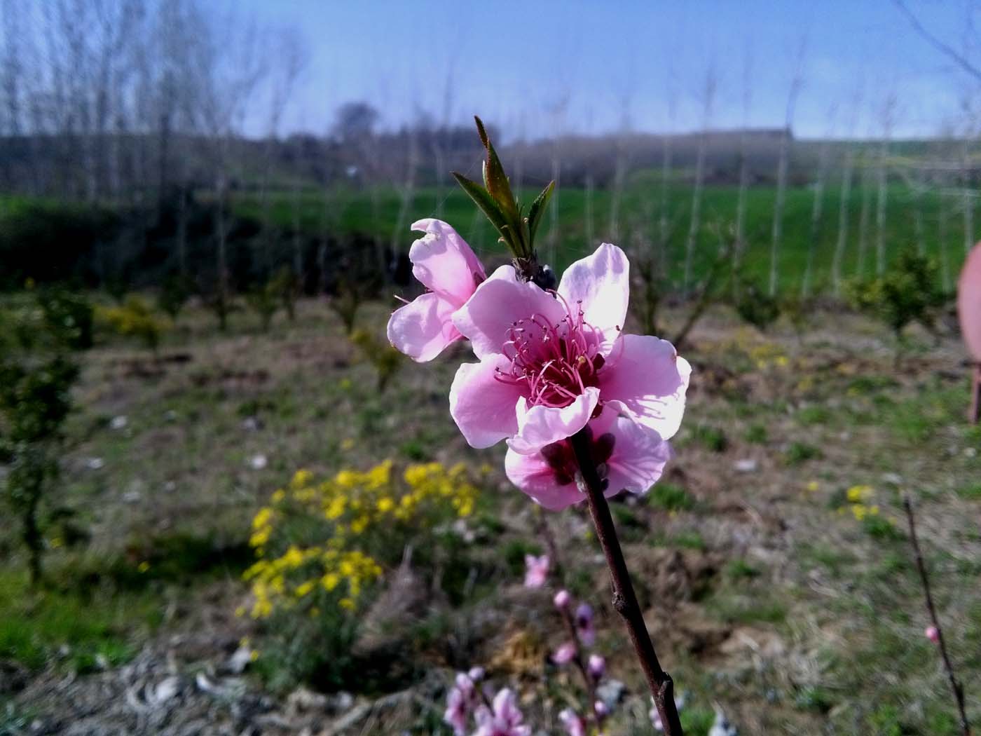 1_7_.jpg (1400×1050)