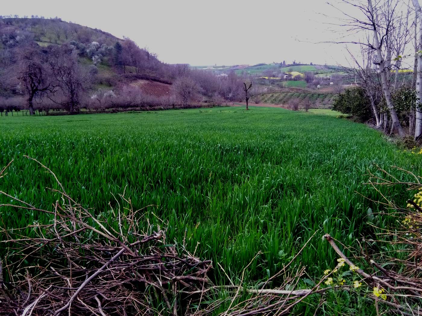 1_12_.jpg (1400×1050)