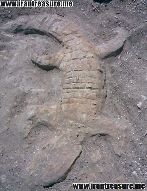 http://s9.picofile.com/file/8291153300/kertenkele953.jpg