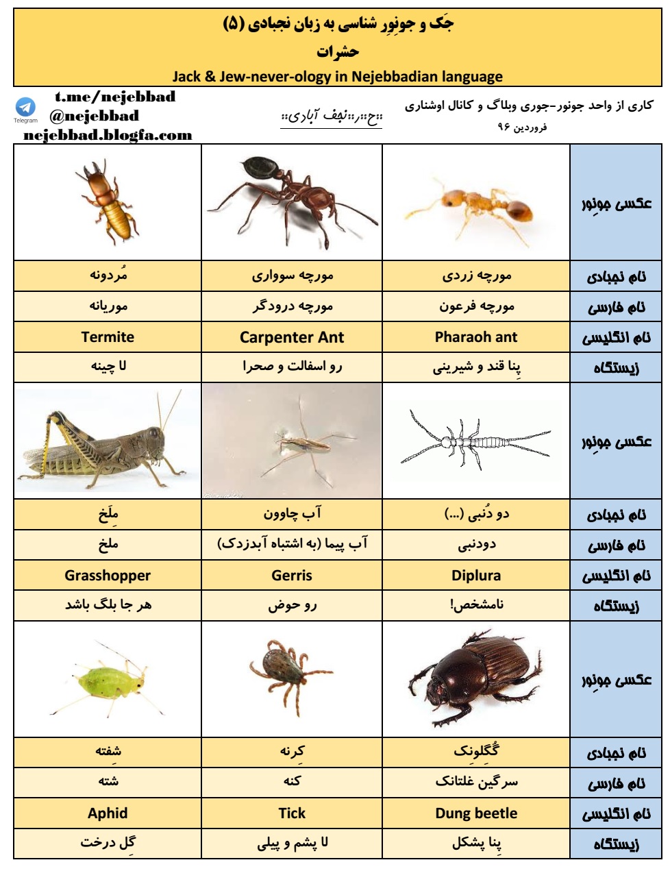گوگلونگ، کرنه، شفته جک و جونور شناسی به زبان نجبادی5 (جانورشناسی نجف آبادی) مورد دو دنبی آب چاوون
