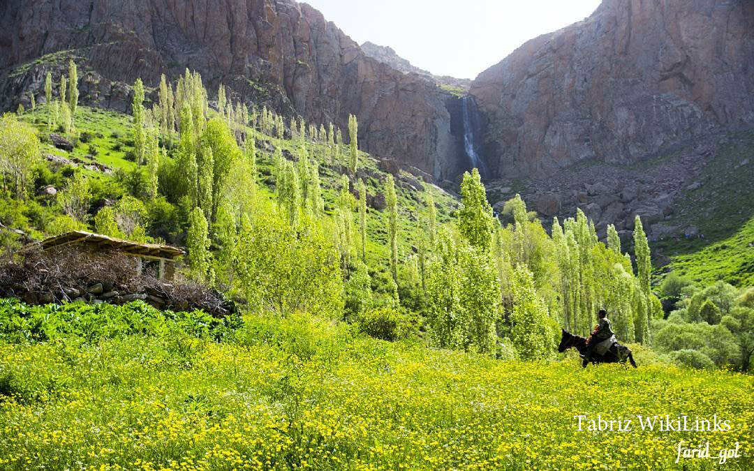 هرگلان در بهار