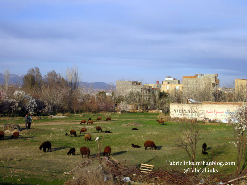 عجبشیر آذربایجان شرقی
