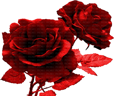 http://s9.picofile.com/file/8291635668/a1579.gif
