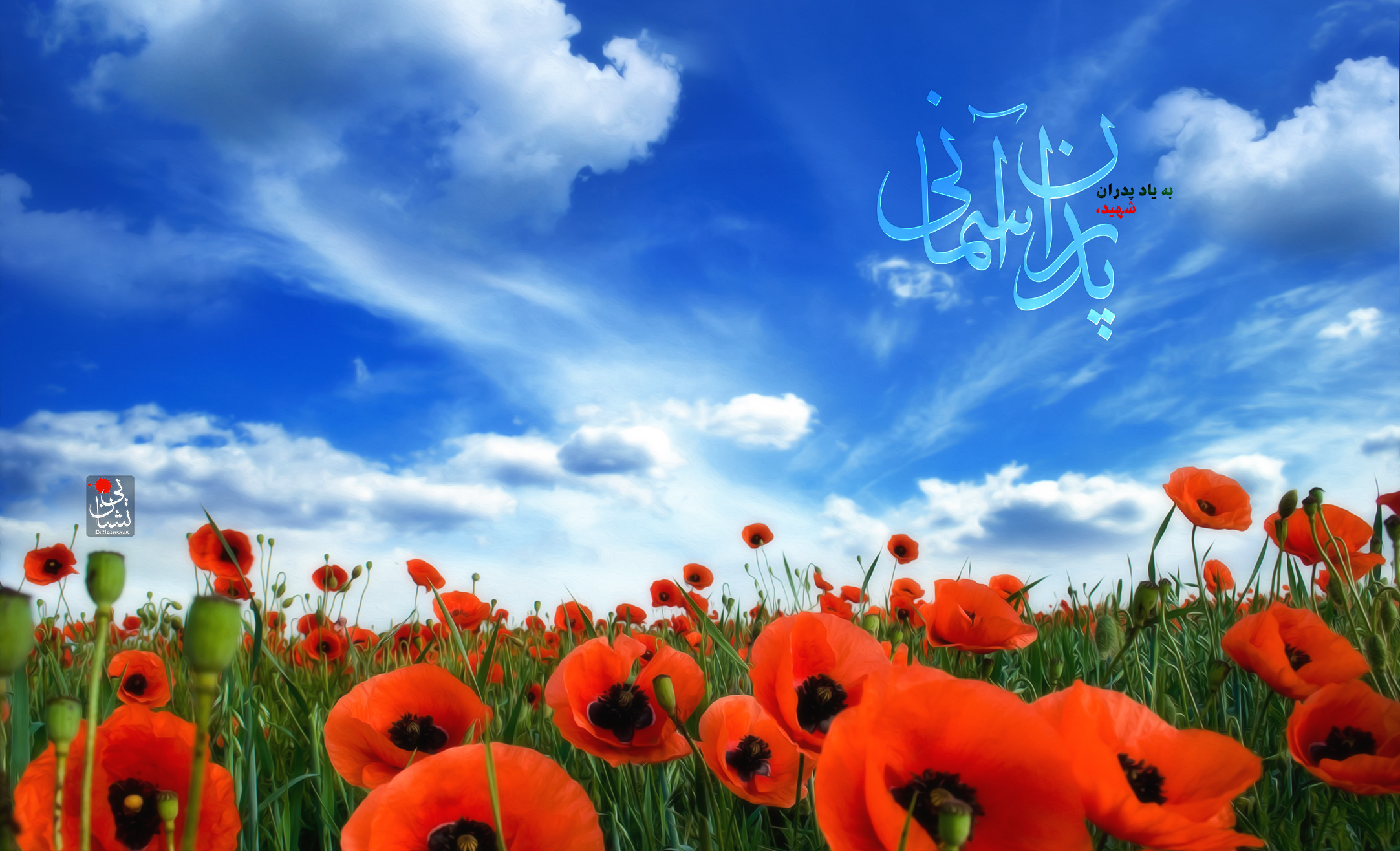 http://s9.picofile.com/file/8291651192/Pedaran_Asemani_2.jpg