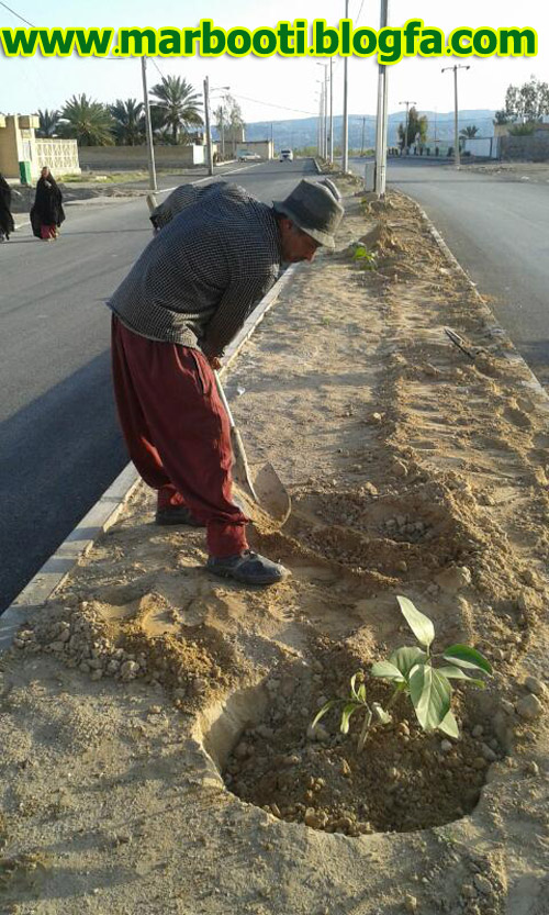 http://s9.picofile.com/file/8292020134/planting1.jpg
