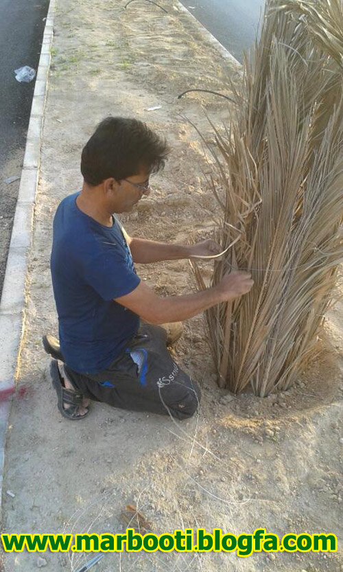 http://s9.picofile.com/file/8292020168/planting2.jpg