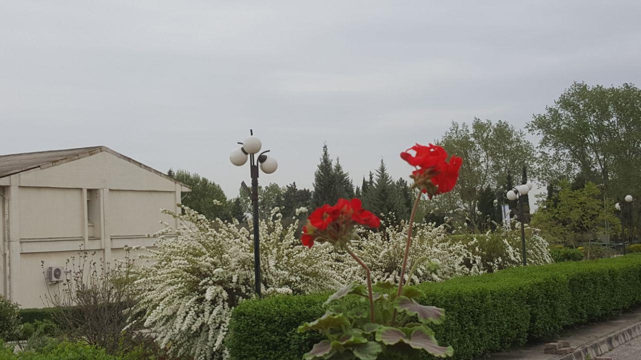Golestan University of Medical Sciences Golestan University of Medical Sciences