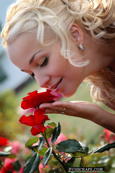 http://s9.picofile.com/file/8292397184/89232769549731528685.gif