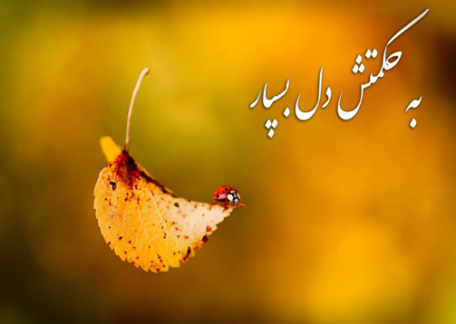 Image result for ‫درددل کارآفرینان بزرگ از‬‎