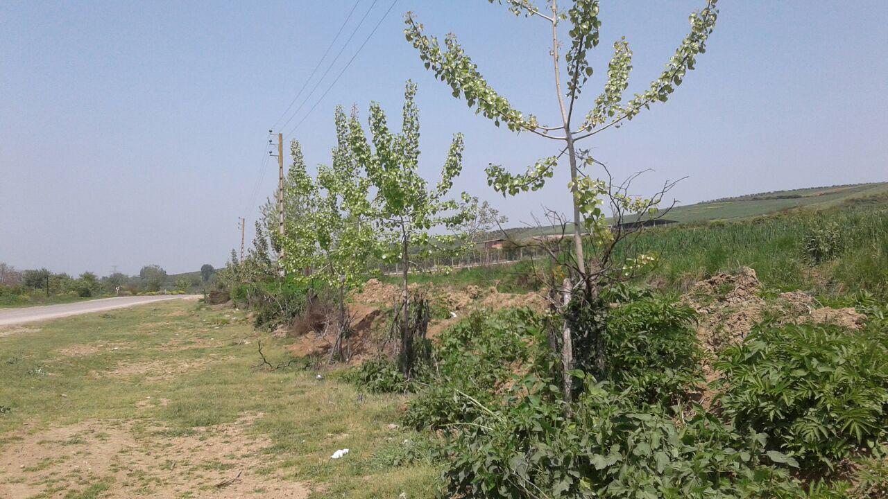 1_2_.jpg (1280×720)