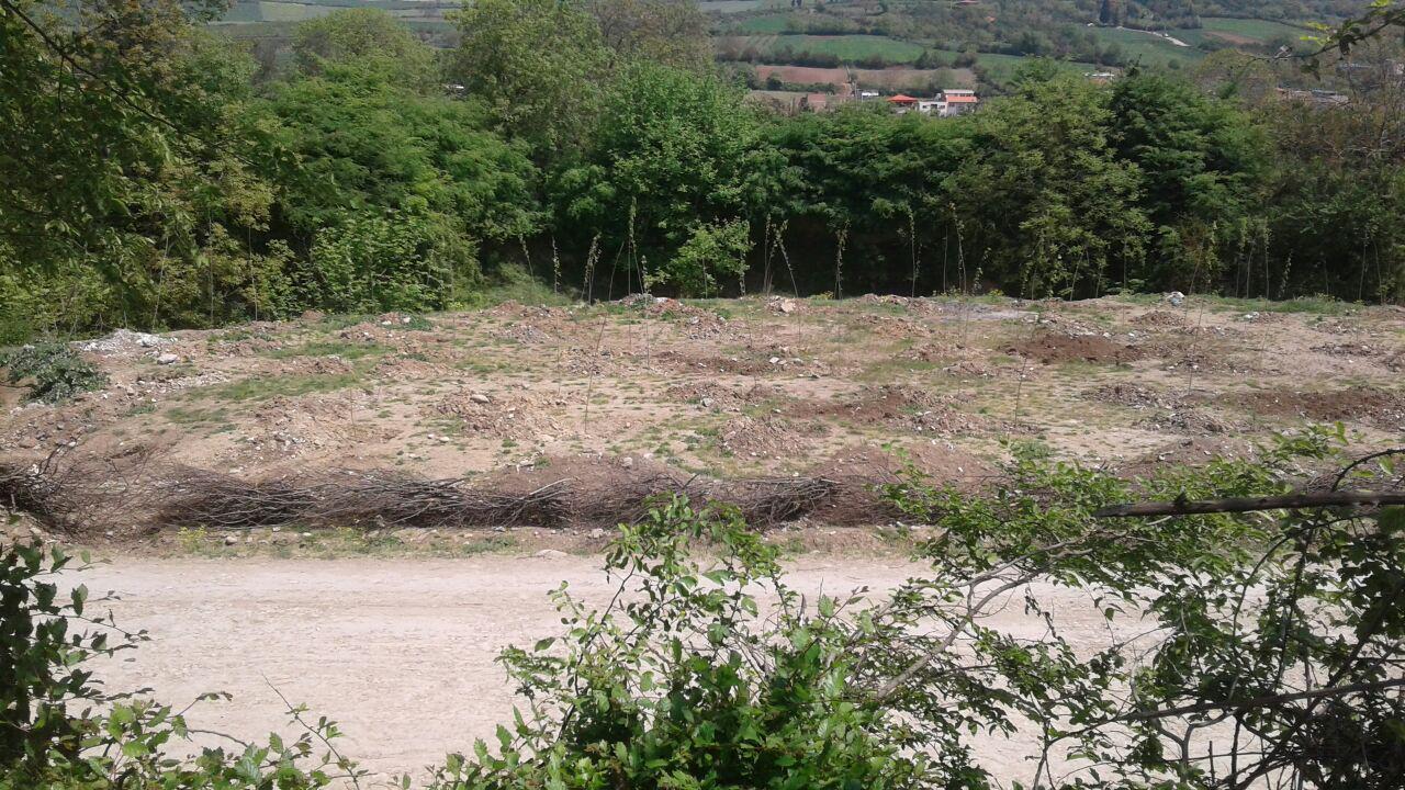 1_3_.jpg (1280×720)