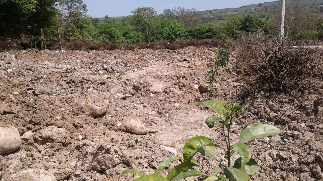 1_9_.jpg (1280×720)