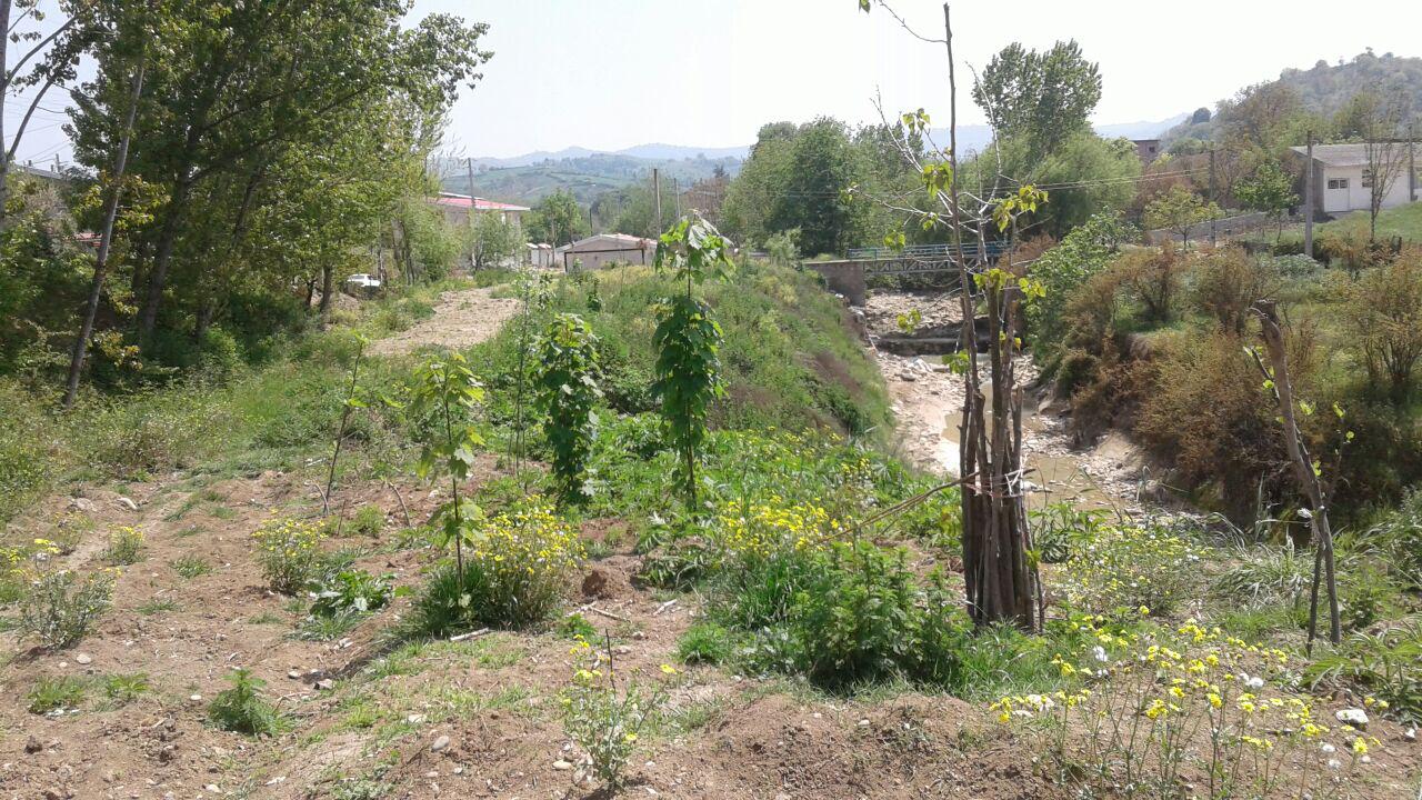 1_10_.jpg (1280×720)