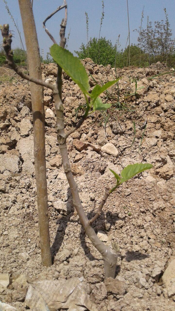 1_15_.jpg (720×1280)