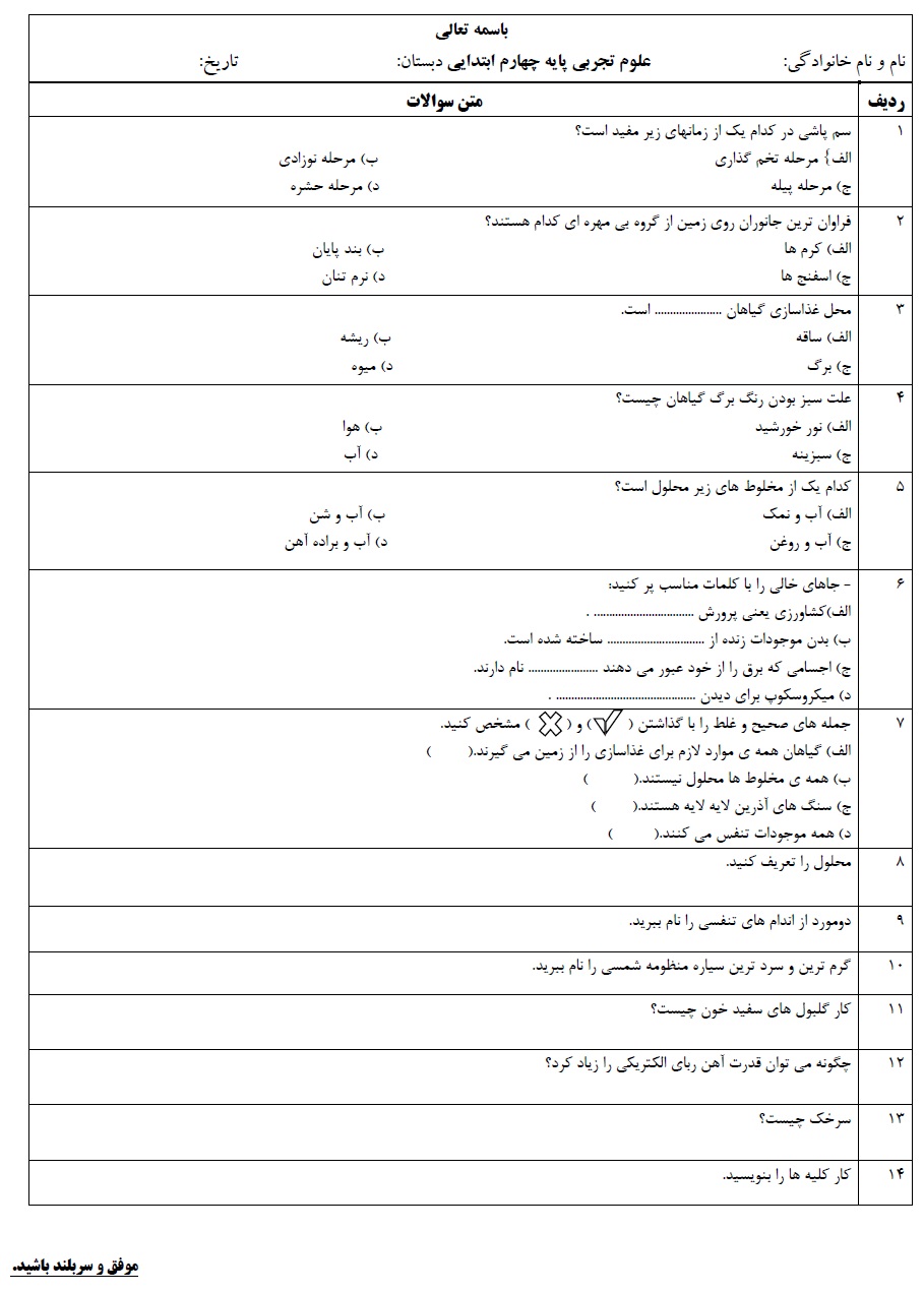 مائده رضوی منش