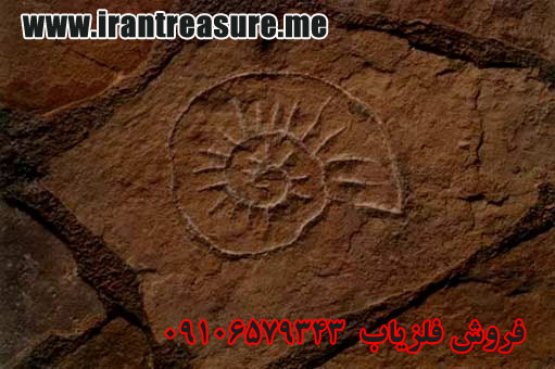 http://s9.picofile.com/file/8294082784/halazon952.jpg