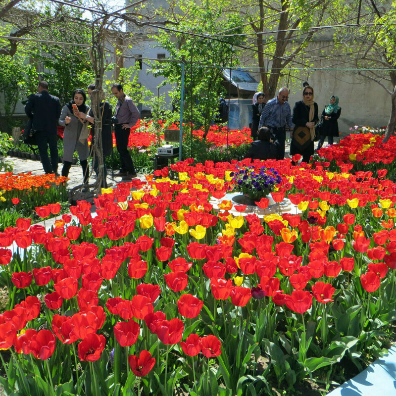 صادق اقدمی فرد