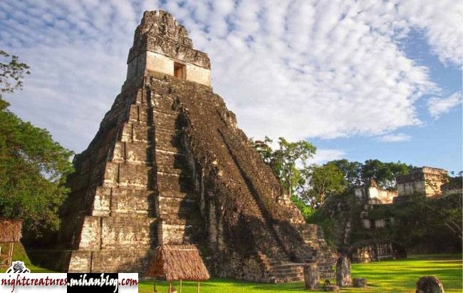 14.jpg (650×411)