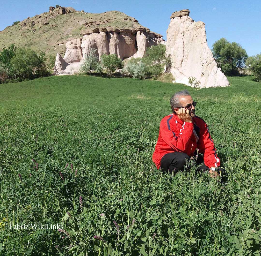 ایرج خانی