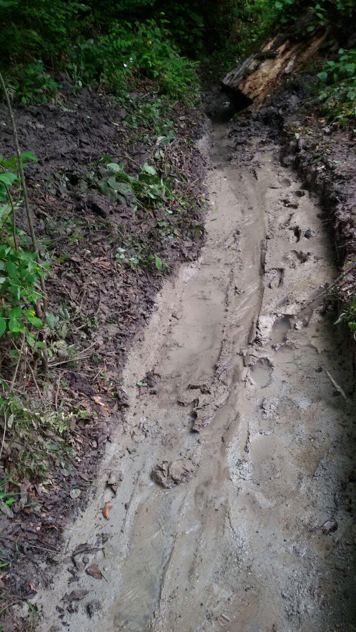 1_16_.jpg (720×1280)