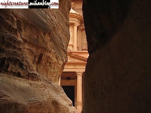 4.jpg (500×375)