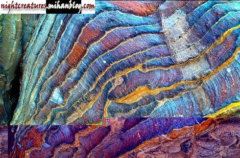 19.jpg (490×323)