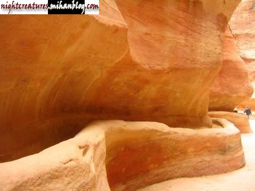 20.jpg (500×375)